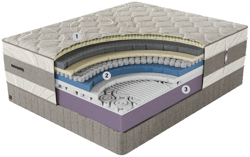 Genessi Cross Section Navante