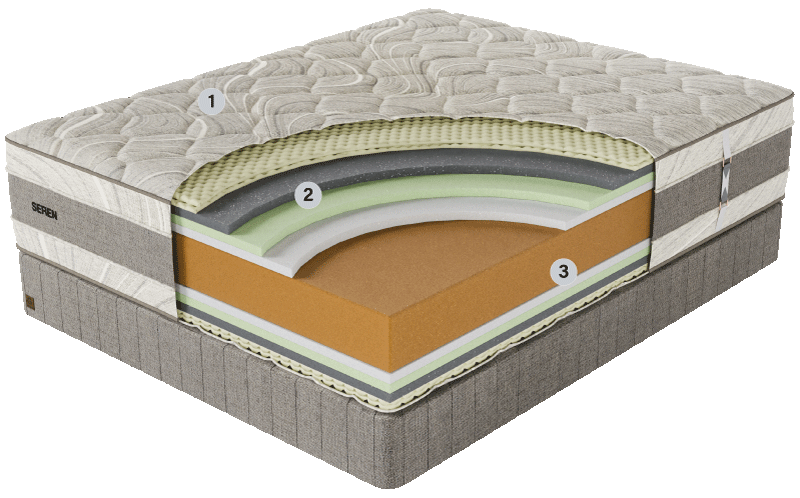 Genessi Cross Section Seren
