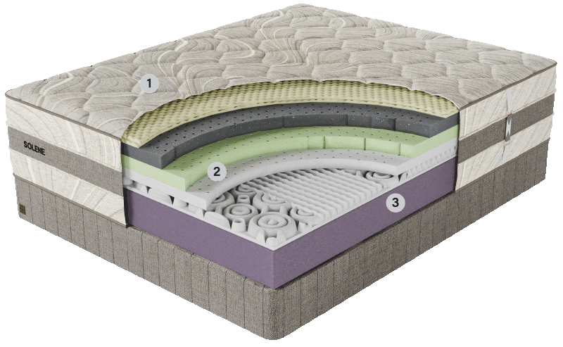 Genessi Cross Section Solene